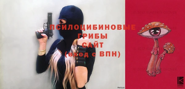 ГАЛЛЮЦИНОГЕННЫЕ ГРИБЫ Алзамай