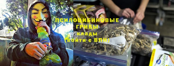 хмурый Алексеевка