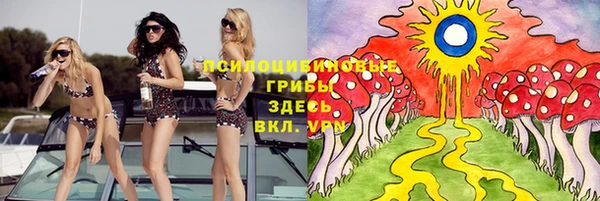 ГАЛЛЮЦИНОГЕННЫЕ ГРИБЫ Алзамай