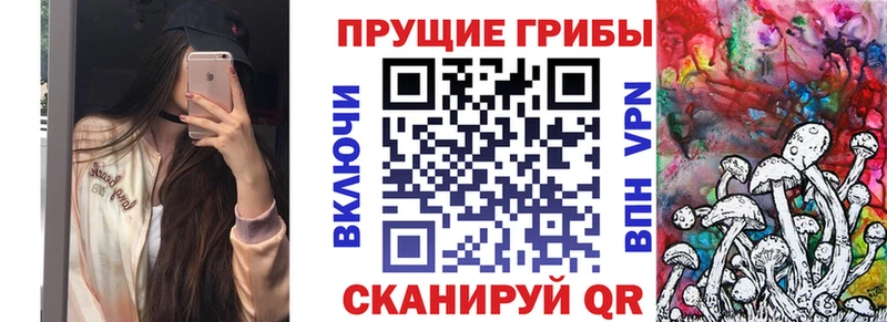 Купить где  Сковородино  Псилоцибиновые грибы MAGIC MUSHROOMS 